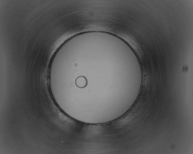 X0000091521094200708311243