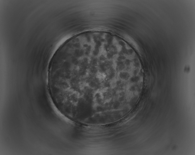 X0000091521095200708311243