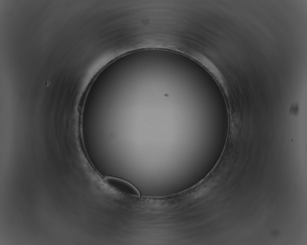 X0000091521096200708311243