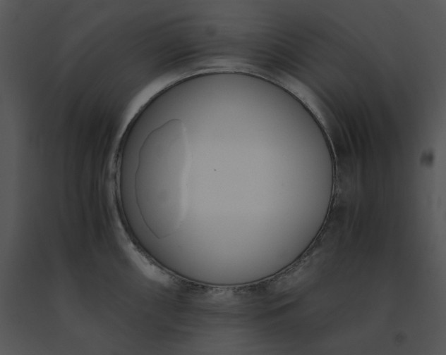 X0000091521098200708311243