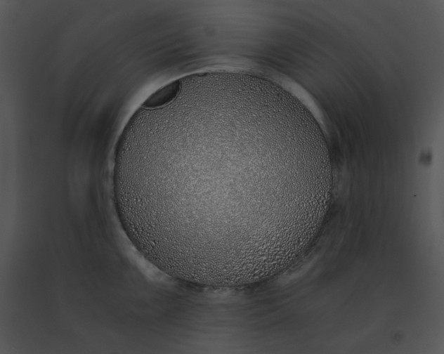 X0000091521099200708311243