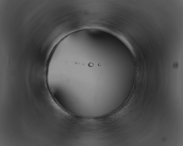 X0000091521100200708311243