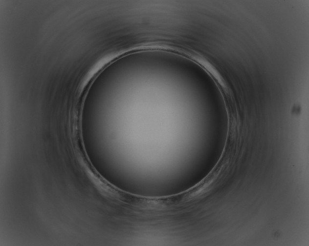 X0000091521101200708311243