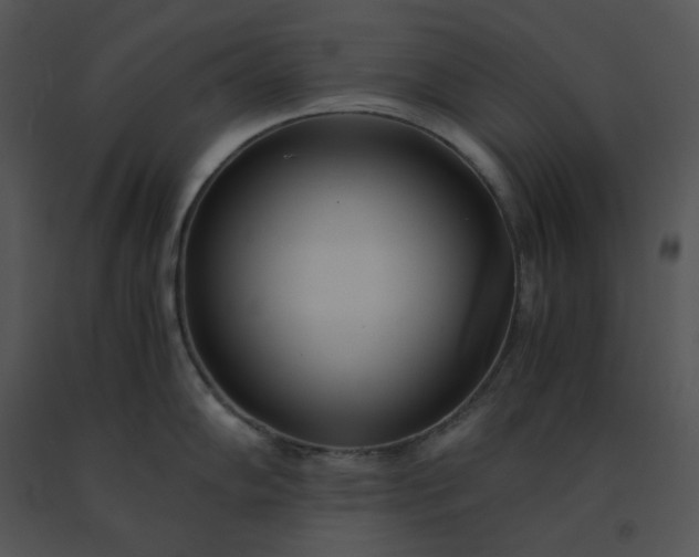 X0000091521102200708311243