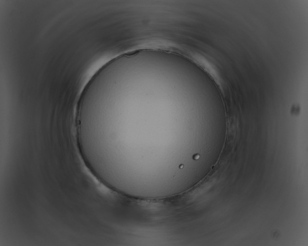 X0000091521103200708311243