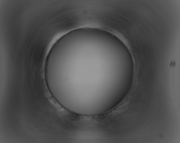 X0000091521104200708311243