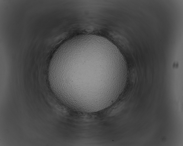 X0000091521105200708311242