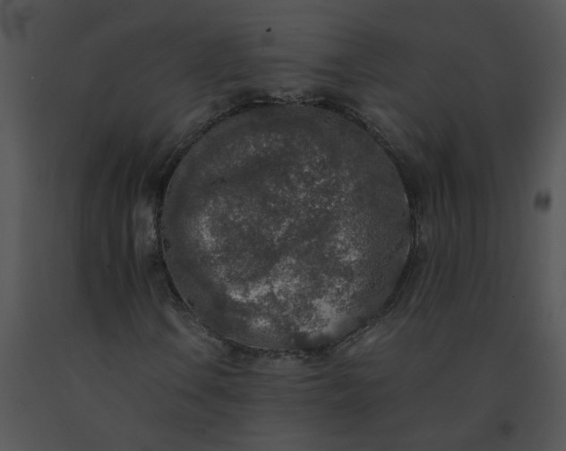 X0000091521106200708311242