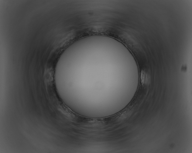 X0000091521107200708311242