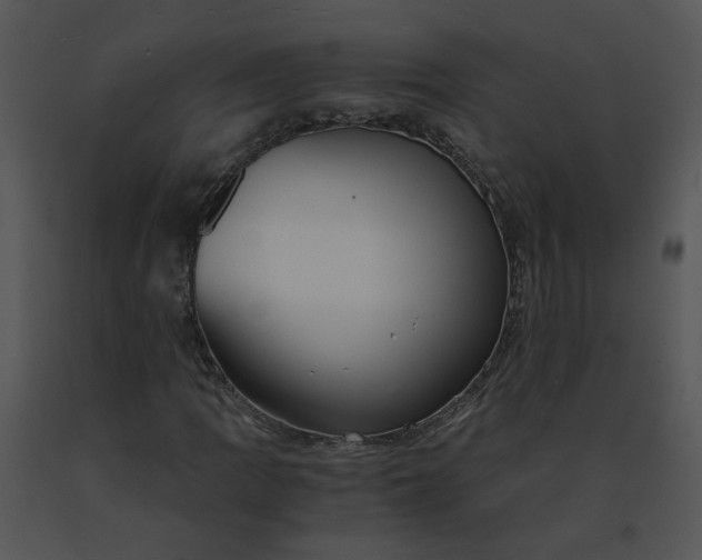 X0000091521109200708311242