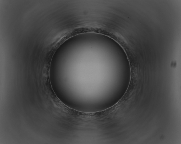 X0000091521110200708311242