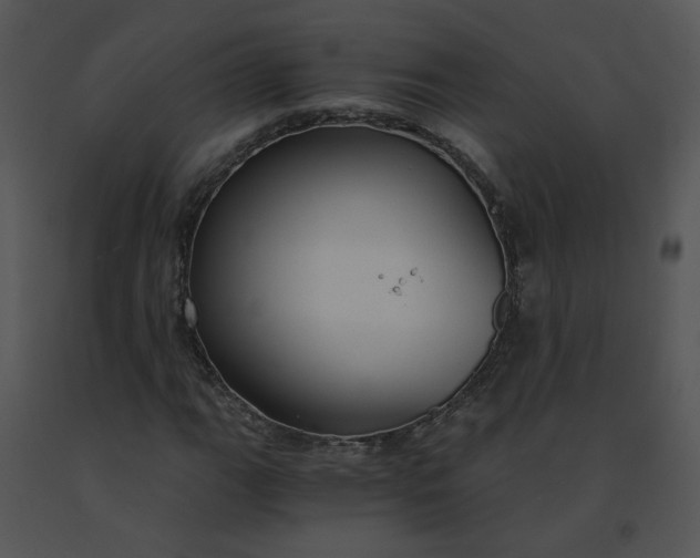 X0000091521111200708311242