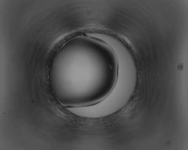 X0000091521112200708311242