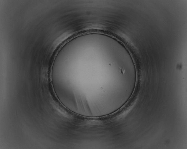 X0000091521113200708311242