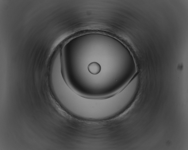 X0000091521114200708311242