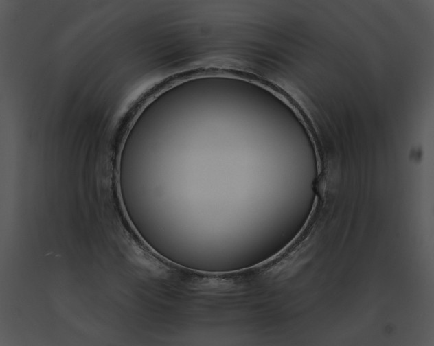 X0000091521115200708311242