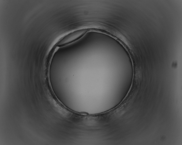 X0000091521116200708311242