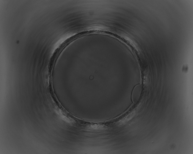 X0000091521117200708311242