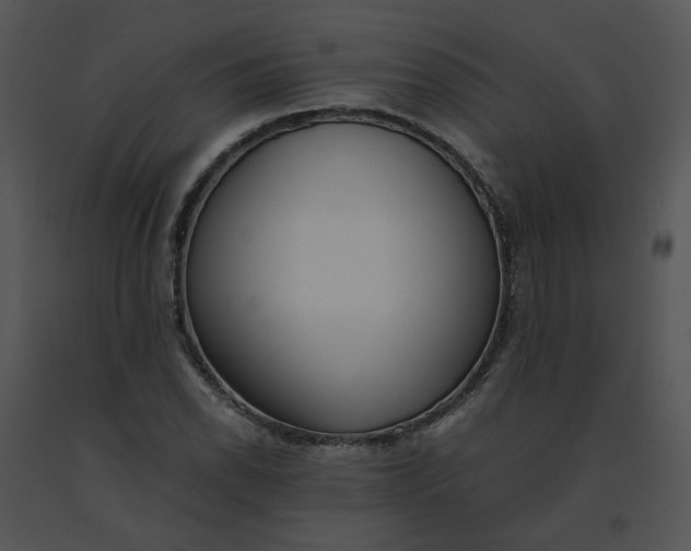 X0000091521118200708311242