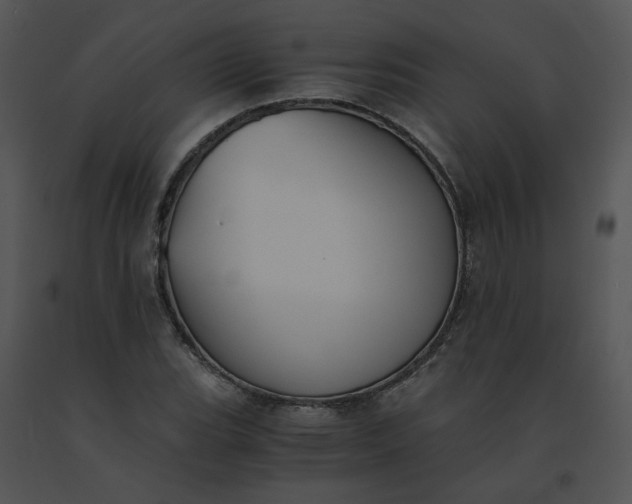 X0000091521119200708311242