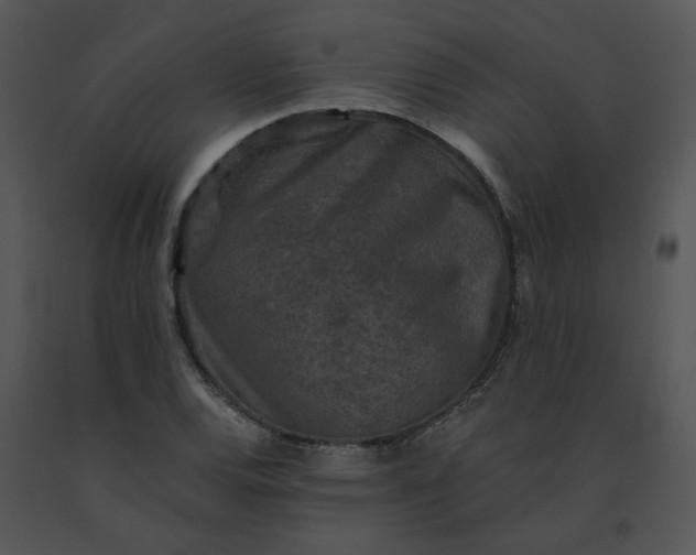 X0000091521120200708311242