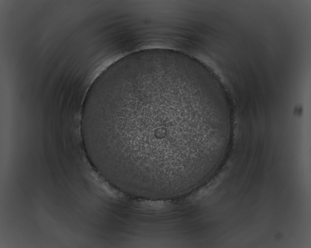 X0000091521121200708311242