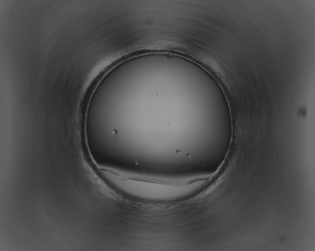 X0000091521122200708311242