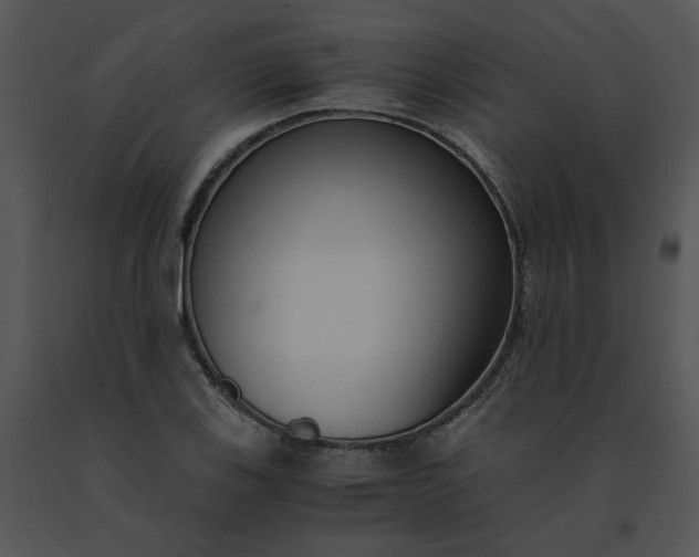 X0000091521123200708311242