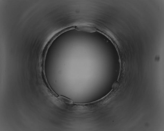 X0000091521124200708311242