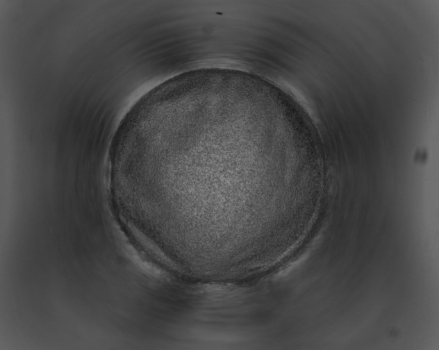 X0000091521125200708311242