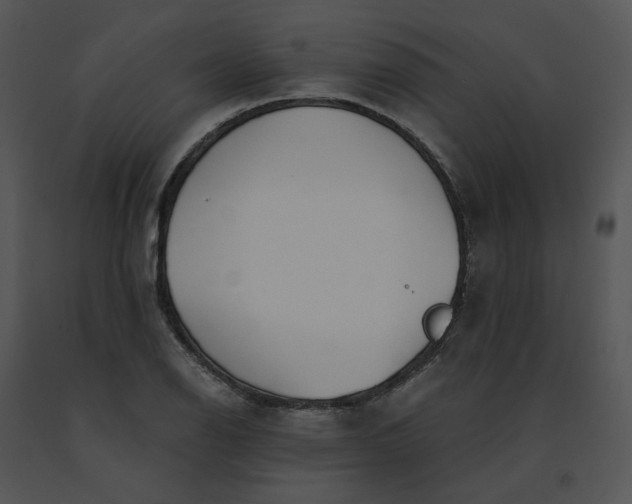 X0000091521126200708311242