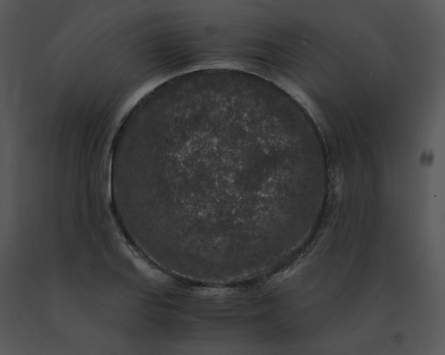 X0000091521127200708311242