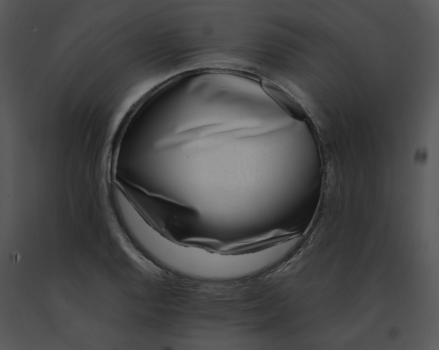 X0000091521128200708311243