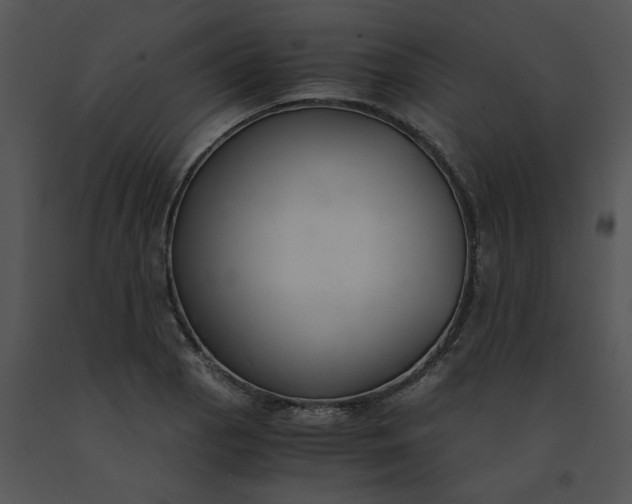 X0000091521129200708311243