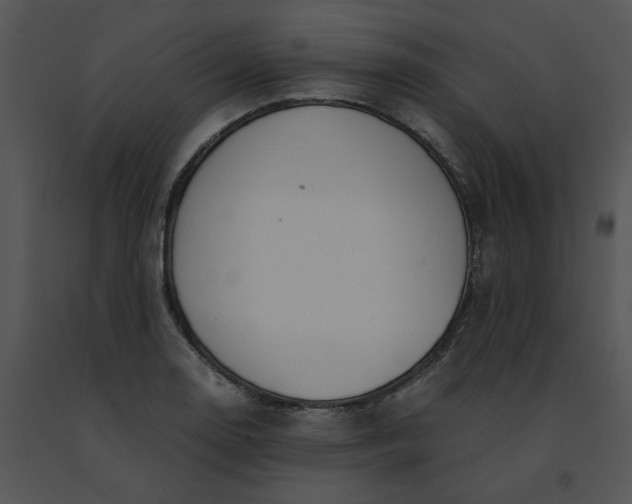 X0000091521130200708311243