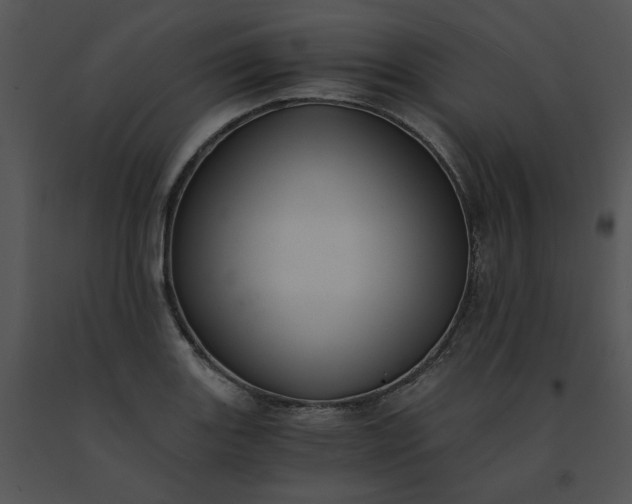 X0000091521131200708311243