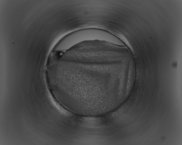 X0000091521132200708311243