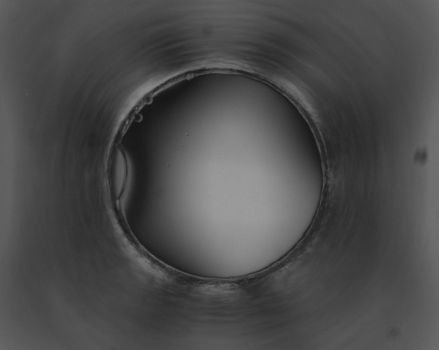 X0000091521133200708311243