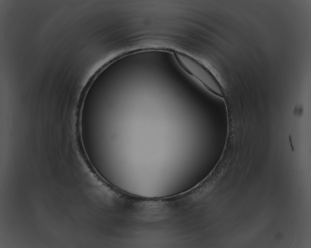 X0000091521134200708311243