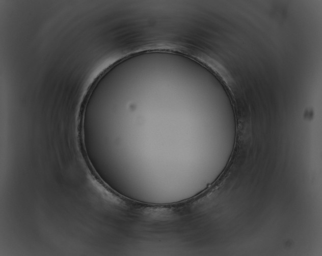 X0000091521135200708311243