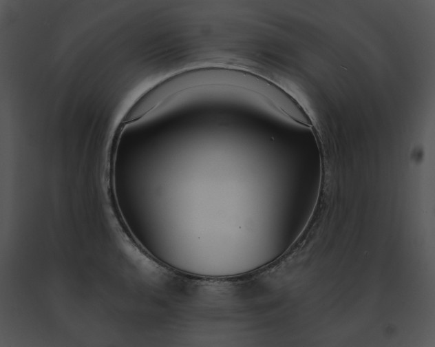 X0000091521136200708311243