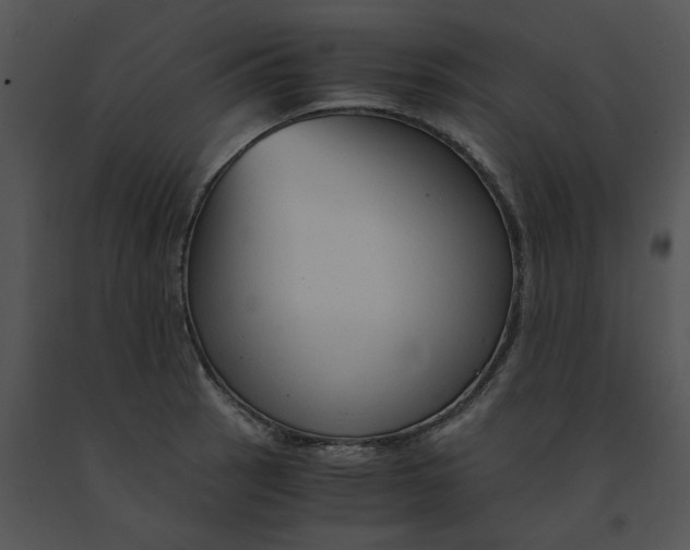 X0000091521137200708311243