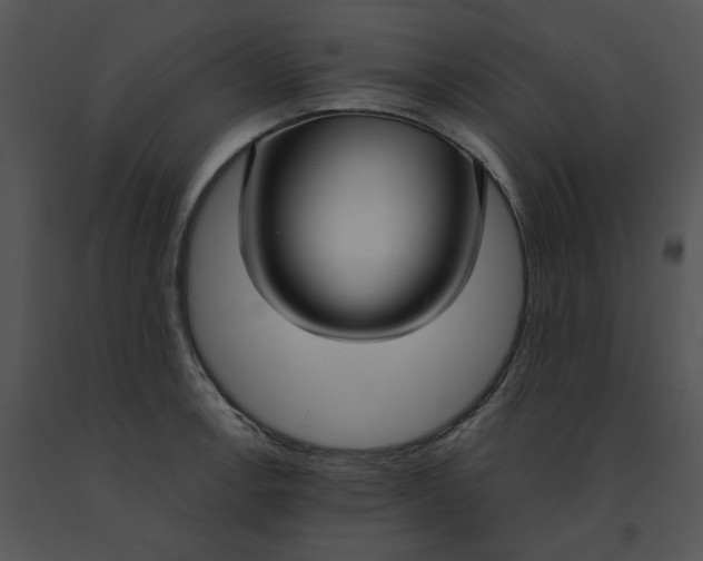 X0000091521138200708311243