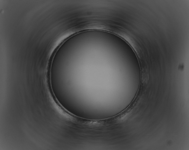 X0000091521139200708311243