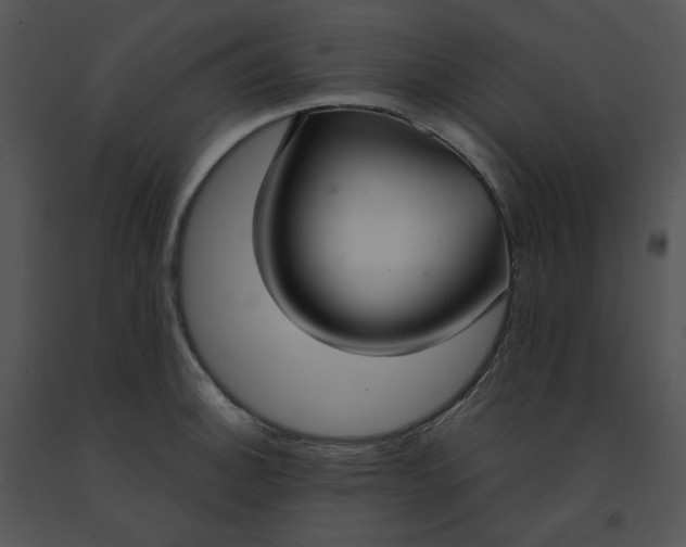 X0000091521140200708311243