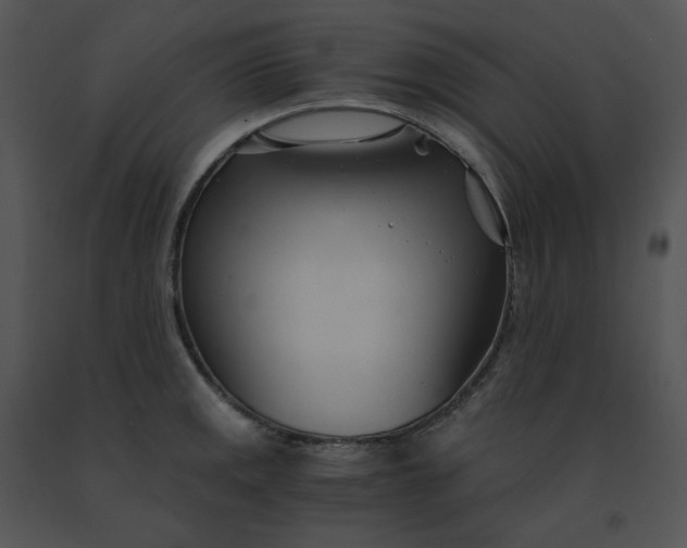 X0000091521141200708311243