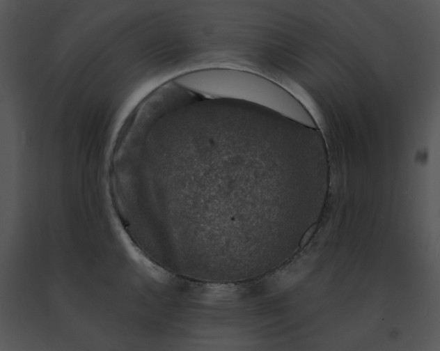 X0000091521144200708311243