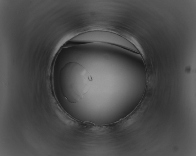 X0000091521146200708311243