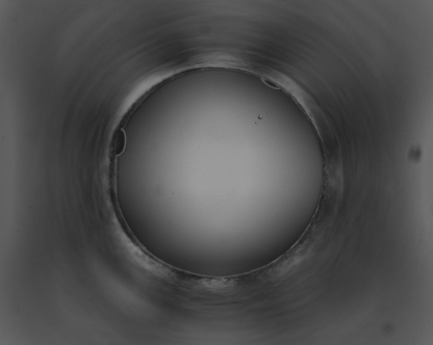 X0000091521147200708311243