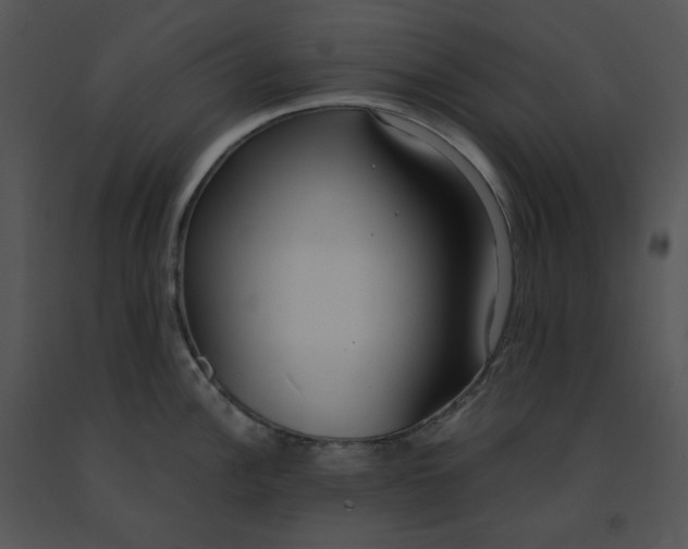 X0000091521148200708311243